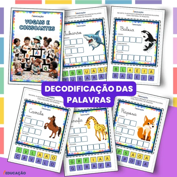 decodificacao-das-palavras