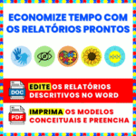 Relatório individual do aluno na educação infantil - Alunos especiais - Alunos PCDs (1)